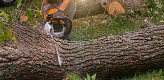 Best Lawn Watering Services  in College Place, WA