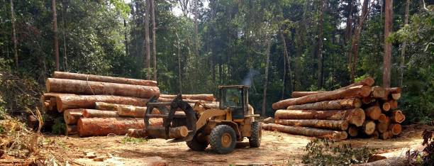 Best Soil Testing and Treatment  in College Place, WA